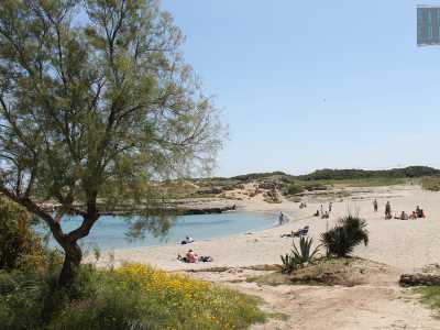 la Mezzaluna, racchiusa tra il mare e una piccola laguna salmastra, circondata da un canneto e da dune sabbiose ricche di mirto e lentisco